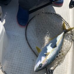 「LaGooN」蒼陽丸 日和号 釣果