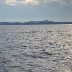 「LaGooN」蒼陽丸 日和号 釣果