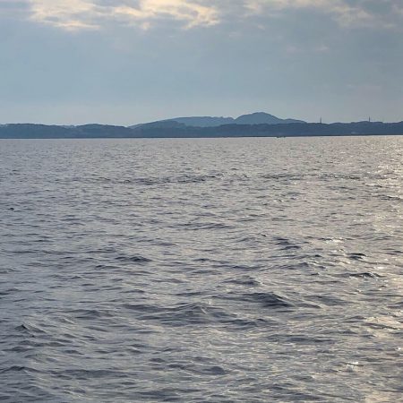 「LaGooN」蒼陽丸 日和号 釣果