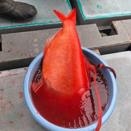 ＴＡＲＯＭＡＲＵ 釣果