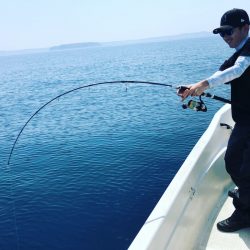 「LaGooN」蒼陽丸 日和号 釣果