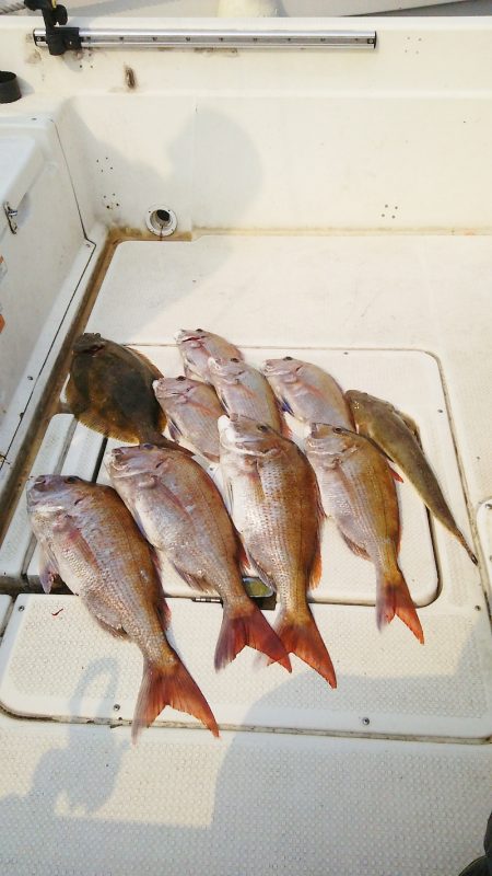 マリンガイド福丸 釣果