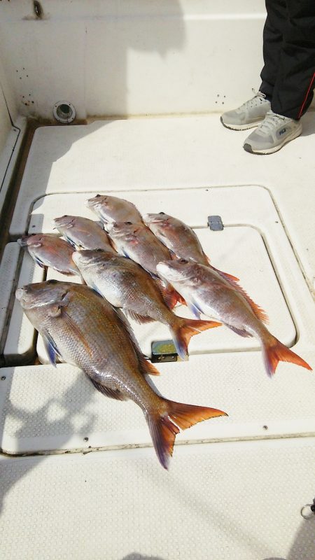 マリンガイド福丸 釣果