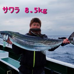 Big One ビッグワン 釣果