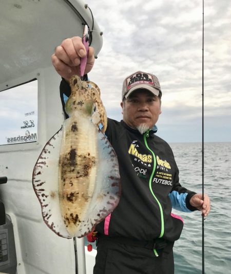 South Current 釣果