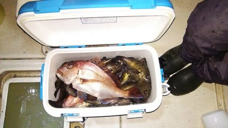 マリンガイド福丸 釣果