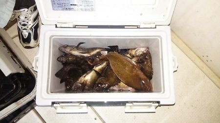 マリンガイド福丸 釣果