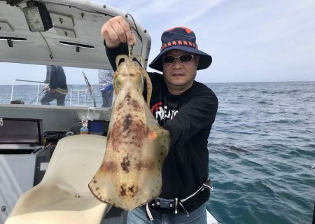 South Current 釣果