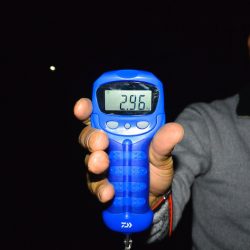 South Current 釣果