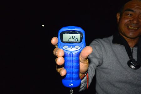 South Current 釣果