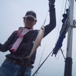 ひな丸 釣果