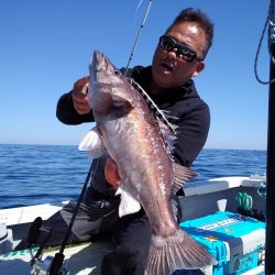 ひな丸 釣果