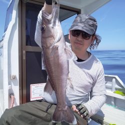 ひな丸 釣果