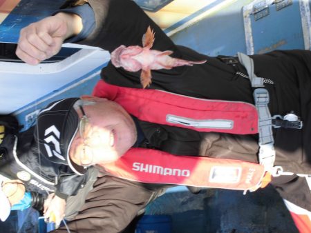 ヤザワ渡船 釣果