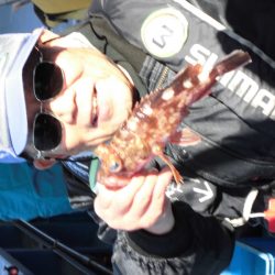 ヤザワ渡船 釣果