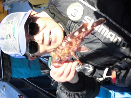 ヤザワ渡船 釣果