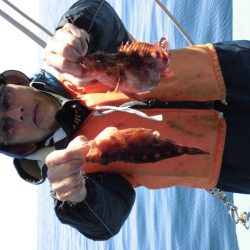 ヤザワ渡船 釣果