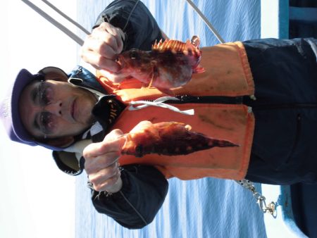 ヤザワ渡船 釣果