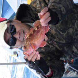 ヤザワ渡船 釣果