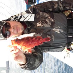 ヤザワ渡船 釣果