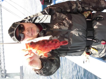 ヤザワ渡船 釣果