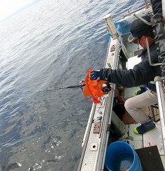 第二清洋丸 釣果