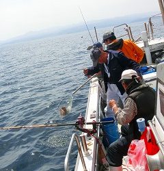 第二清洋丸 釣果