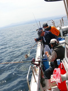 第二清洋丸 釣果