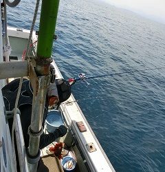 第二清洋丸 釣果