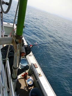 第二清洋丸 釣果