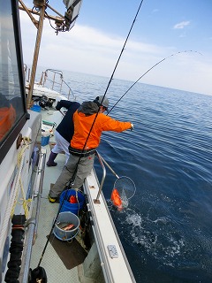 第二清洋丸 釣果