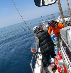 第二清洋丸 釣果