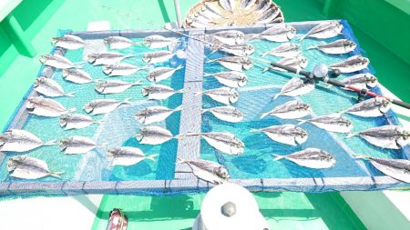 中山丸 釣果