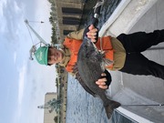 ＮＡＧＡＳＨＩＭA ＭＡＲＵ（永島丸） 釣…