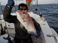 釣船 キティ 釣果