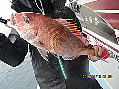 遊漁船 未紗奈 釣果