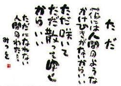 フィッシングボート空風(そらかぜ) 釣果