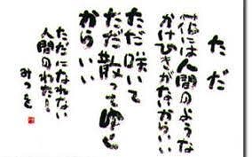 フィッシングボート空風(そらかぜ) 釣果