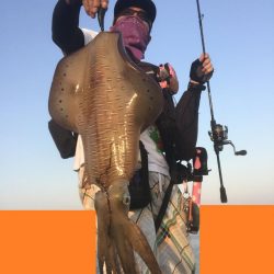 春イカひさびさにエギングで２キロアップ