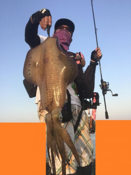 春イカひさびさにエギングで２キロアップ