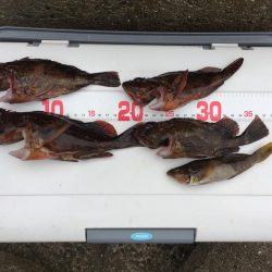 初の穴釣りで‼︎‼︎