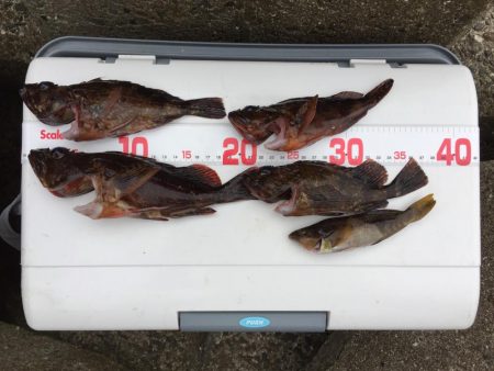 初の穴釣りで‼︎ȃ…