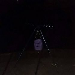 貧果ですが･･･