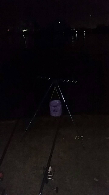 貧果ですが･･･