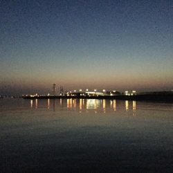 令和のメバルさがし