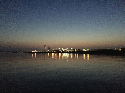 令和のメバルさがし