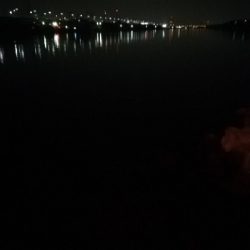 バチ抜けシーバス