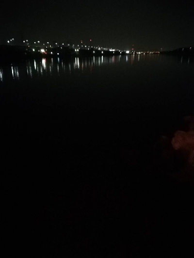 バチ抜けシーバス