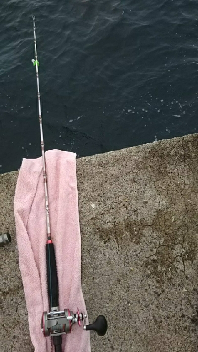 モンスターハンター釣行