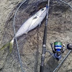 令和元年 遠征二日目にて